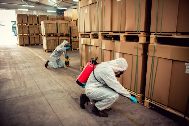 Best Mosquito Control Services  in Newell, WV