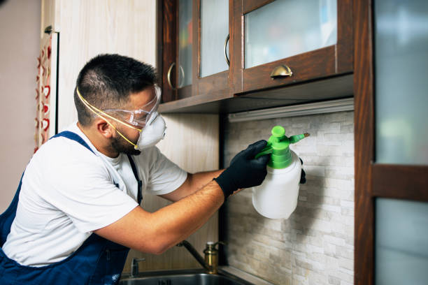 Best Pest Control Near Me  in Newell, WV