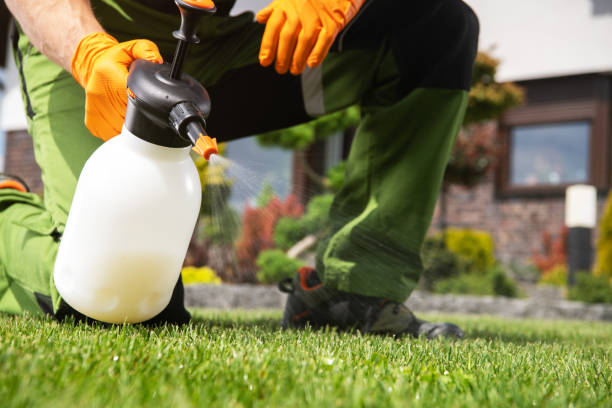 Best Local Pest Control Services  in Newell, WV