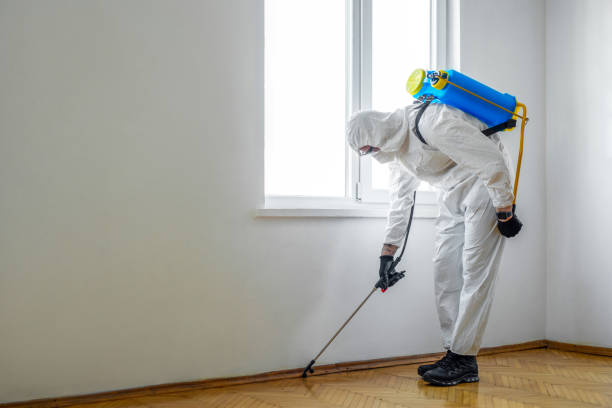 Trusted Newell, WV Pest Control Experts