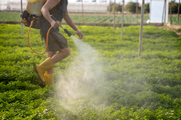Best Best Pest Control Companies  in Newell, WV