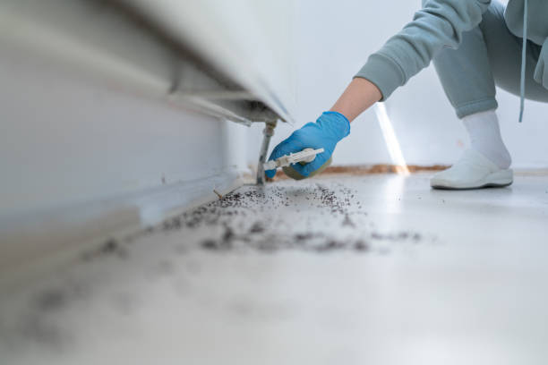 Best Wildlife Control Services  in Newell, WV